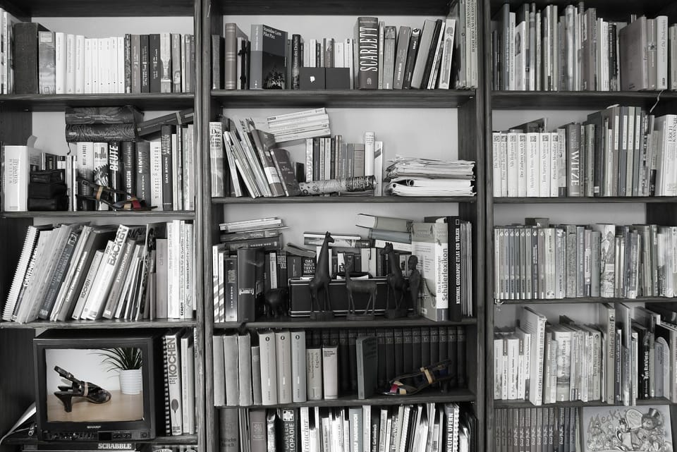 Das Lesen ist schön: Diese Bücher habe ich 2021 gelesen und so fand ich sie